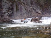 Wilsons Creek 203